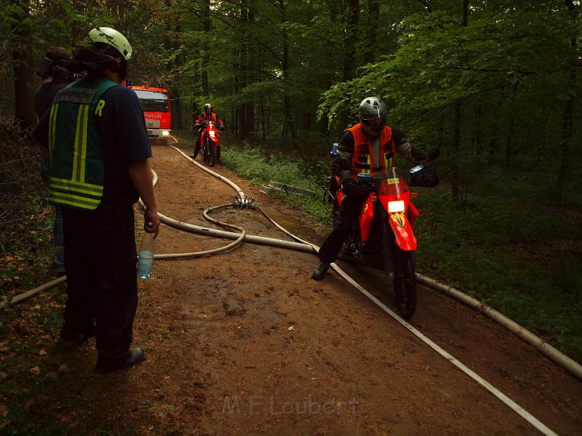 Waldbrand Bergisch Gladbach Bensberg P142.JPG